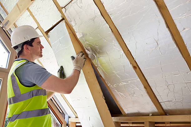 Best Insulation Maintenance and Repair in Sissonville, WV